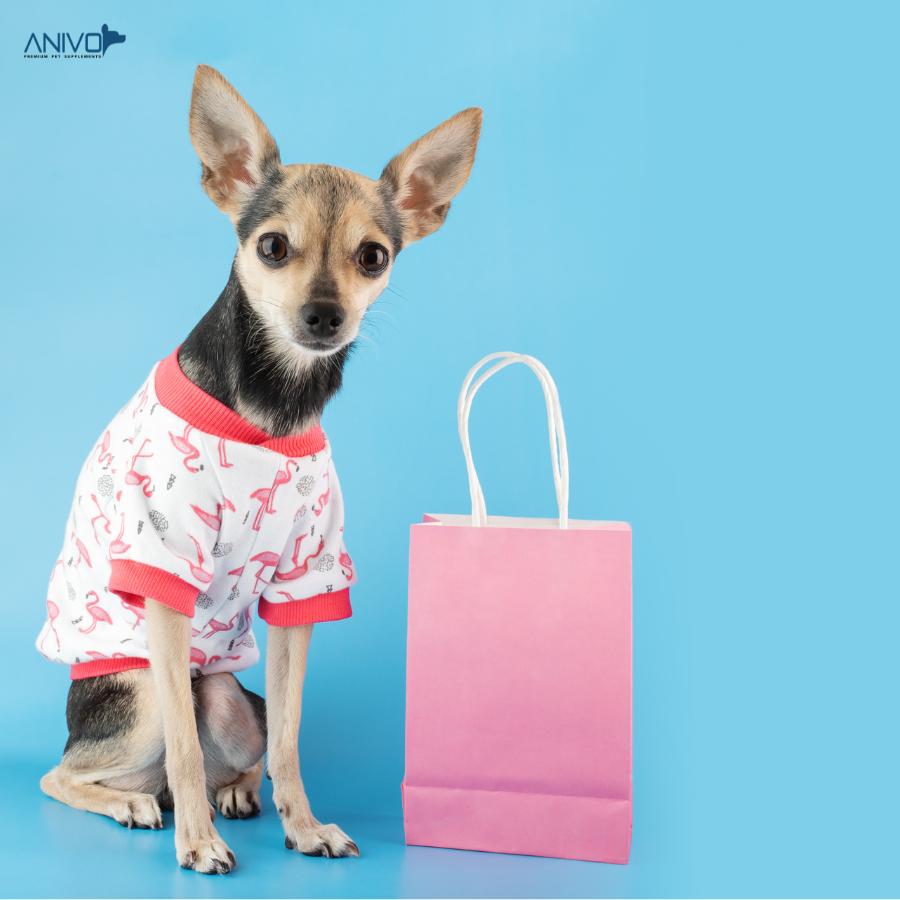 ANIVO PETS DOG ACCESSORIES