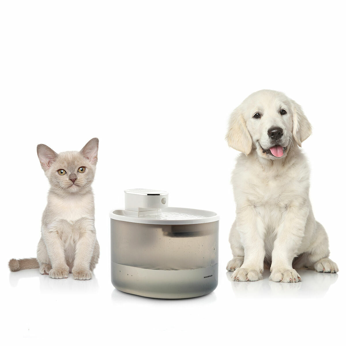 Innovagoods Oplaadbare Waterfontein Met Sensor Voor Katten Refopet Innovagoods